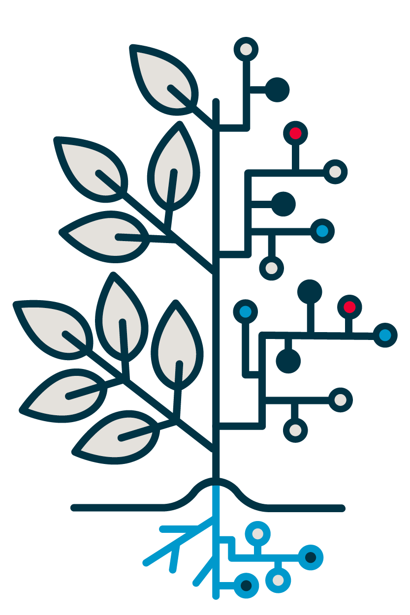 a plant 1/2 community and 1/2 technology